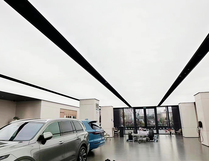 Negozio soffitto